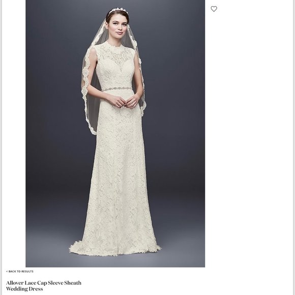 David's Bridal Dresses & Skirts - Wedding Dress